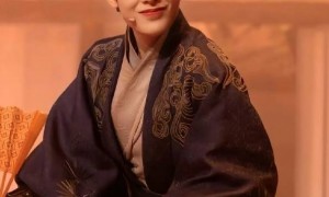 陈丽君称贾宝玉玉是长子长孙引争议 相关采访片段已被删除