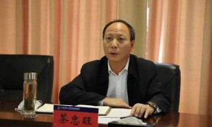 中央巡视组进驻云南期间，茶忠旺任上主动投案