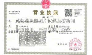 男子开公司取名“海南省自然资源管理厅”获批，相关部门：系统自动审核出错