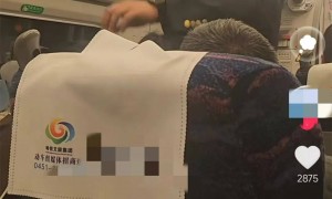 D7987次动车出站10分钟就停摆，乘客被困超4小时，12306回应